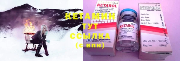 индика Нея