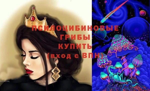 spice Алзамай