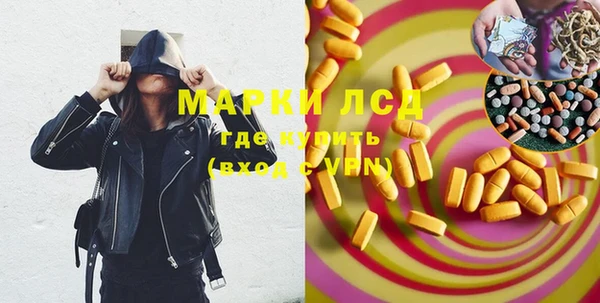 индика Нея