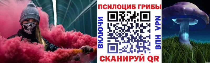 гидра tor  купить  сайты  Рыбное  Псилоцибиновые грибы мицелий 